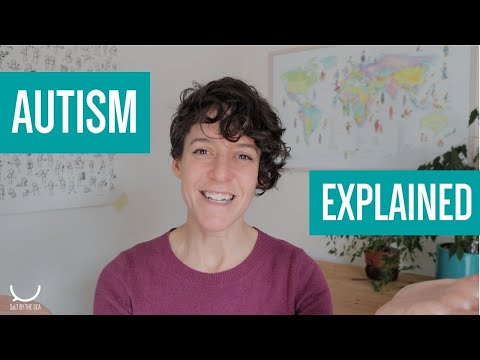 What is autism?
