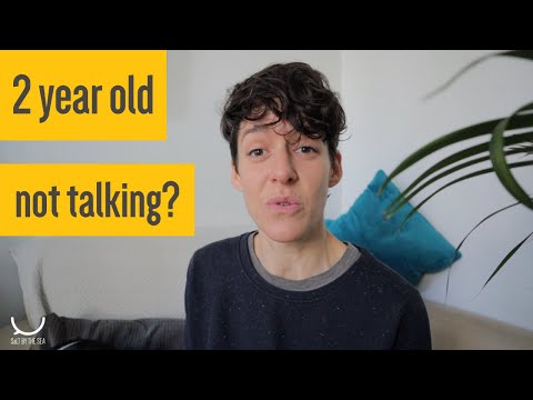 What to do if your toddler isn&#039;t talking